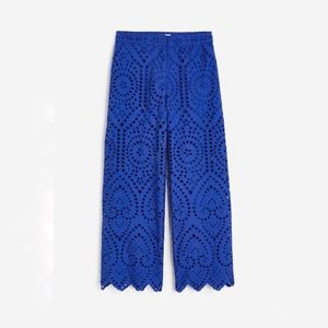 ISO Blue Eyelet Pants from H&M!!